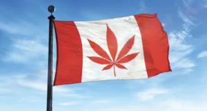 Canada cannabis