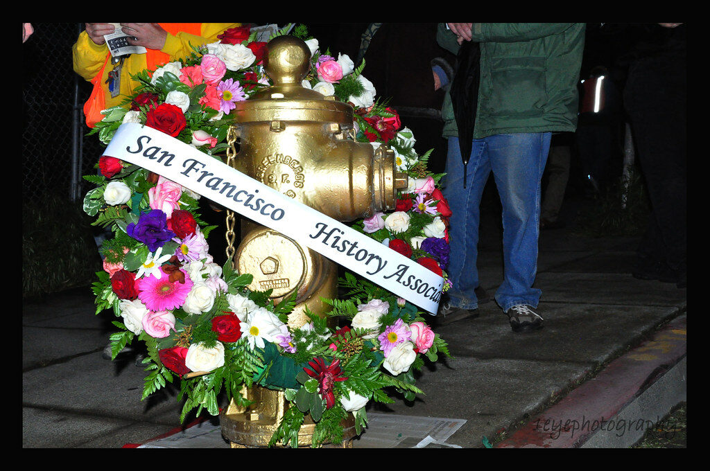 Golden Fire Hydrant, San Francisco