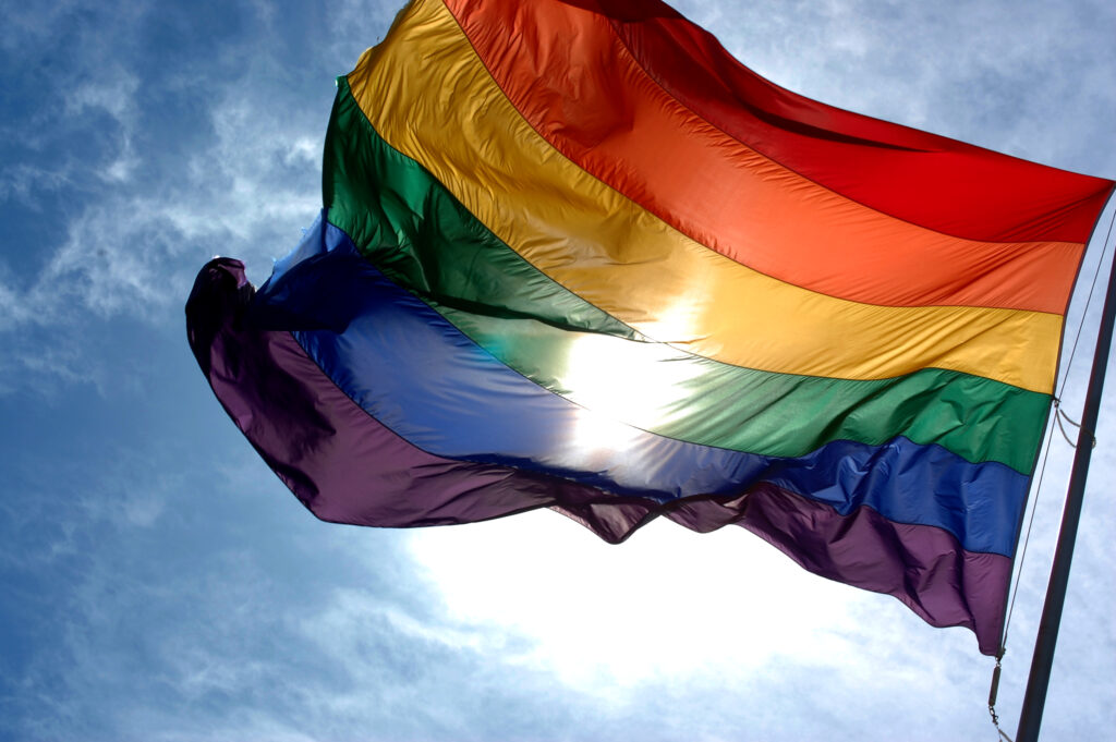 Rainbow flag (Wikipedia)