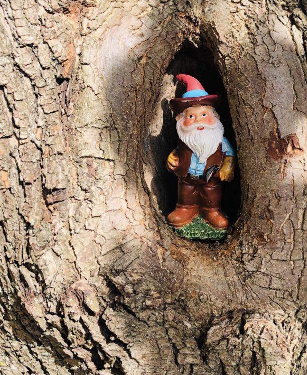 A gnome in Fayetteville, W. VA CREDIT CAITLIN TAN / WEST VIRGINIA PUBLIC BROADCASTING